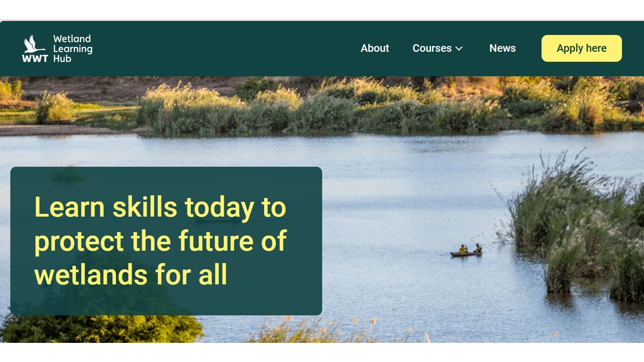 Image-banner